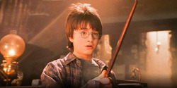 Harry goes to the shop in Hogsmeade and gets his first Wand.